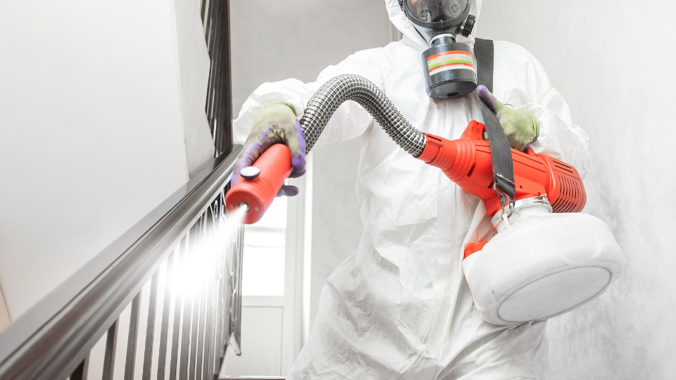 Specialist Performing Blood Cleanup at a home in Fort Carson, CO