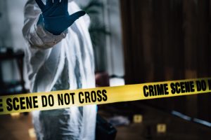 crime scene img 2