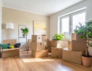 claim your deposit cleaning tips